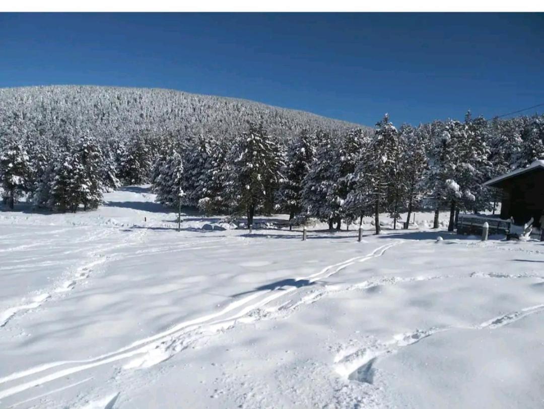 Apartamento En El Pirineo Catalan Sant Jordi de Cercs Esterno foto